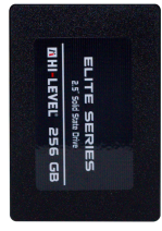 256GB HI-LEVEL HLV-SSD30ELT/256G 2,5