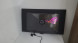 Asus ROG Swift OLED PG32UCDM 31.5'' 240Hz 0.03ms G-Sync Gaming (Oyuncu) Monitör (OUTLET)